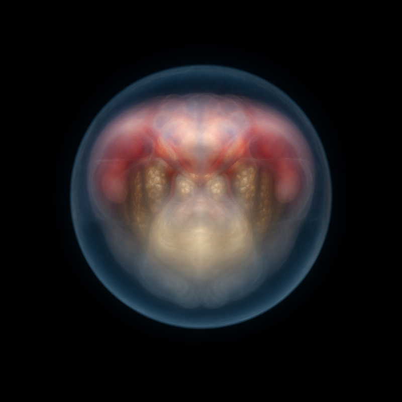 embryo3